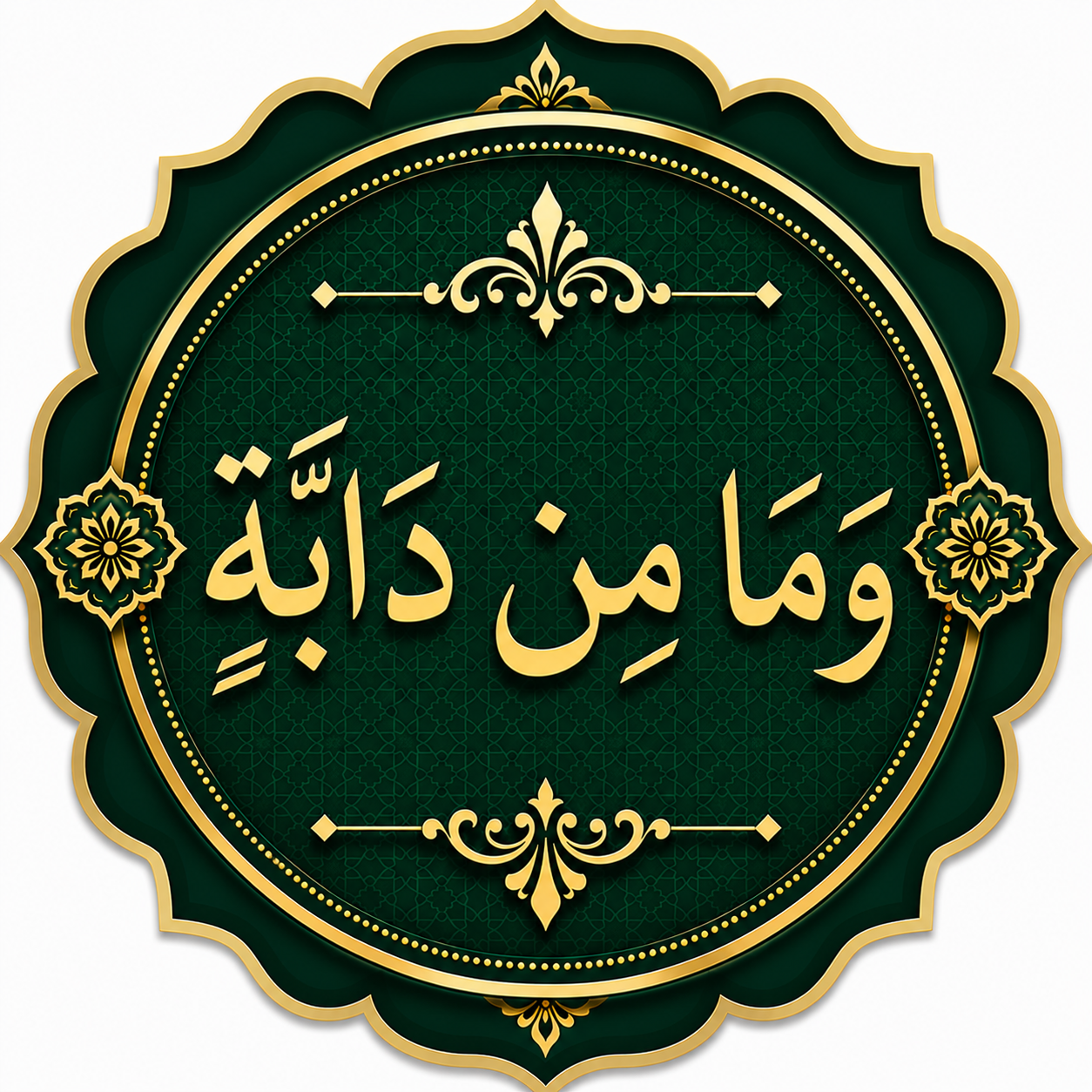 Quran Para 12